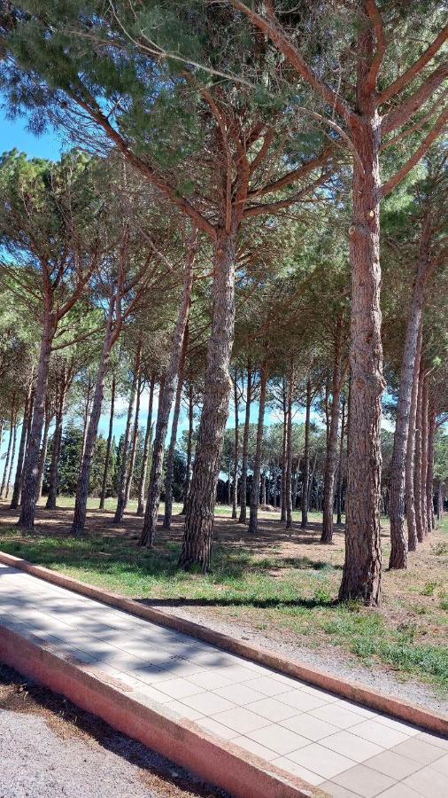 Cocon De Douceur A 10 Min De La Plage Alénya Exterior foto